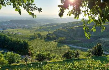 Ferienwohnung vino9 - Foto 3