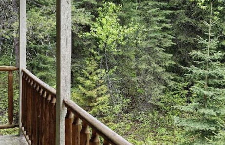 Rustic Beaverfoot Lodge Executive Cabin - Photo 16