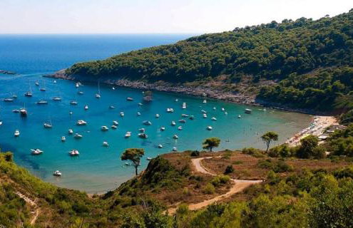 Apartment MARIO - veliki stan za odmor - terasa- vrt - bazen - pogled more, izoliran - Photo 43