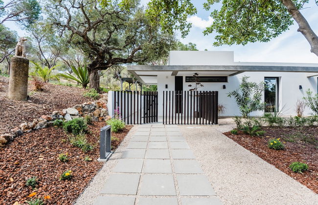 Casa da Alegria - Photo 45