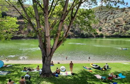 Andar Moradia T4 na Casa do Olival - Foto 50