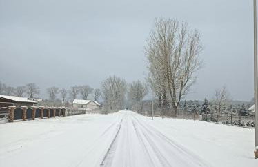 Agroturystyka Zaborski Sad - Foto 20