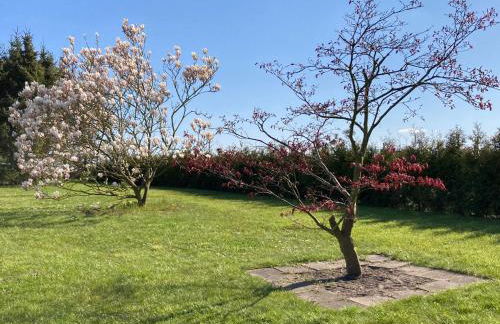 Ferienhäuser Vogelsang - Foto 11