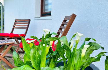 Ferienhaus in Rostock - Brinckmansdorf - Foto 22