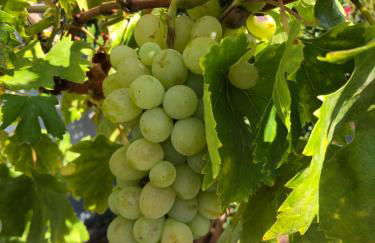 Ferienwohnung in ruhigem Viertel - Foto 11