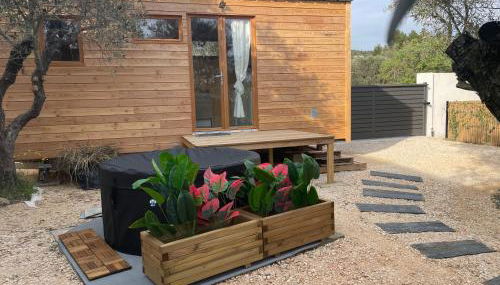 La Tiny House des Oliviers et son jacuzzi - Foto 2
