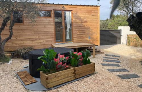 La Tiny House des Oliviers et son jacuzzi - Foto 2
