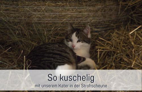 Bio Ferienhof Wichtelweide - Fewo Salbei - Foto 32