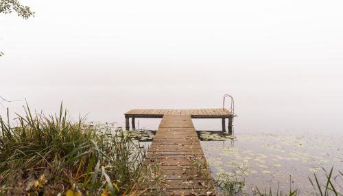 Jemioła Chaty Niedźwiady Małe - Foto 5