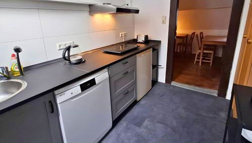 Ferienwohnungen Bernsdorfer Straße Chemnitz - zentrumsnah, teilweise mit Balkon oder Terrasse, große Parkanlage - ideal für Familien, Paare und Geschäftsleute - Foto 3, stove, dishwasher