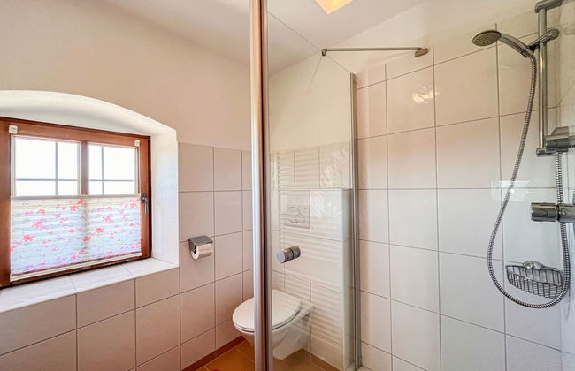 Lehner im Wald - Foto 5