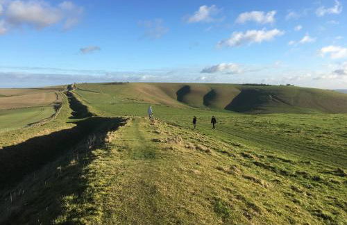 Unique Artists studio with a private garden. - Foto 24