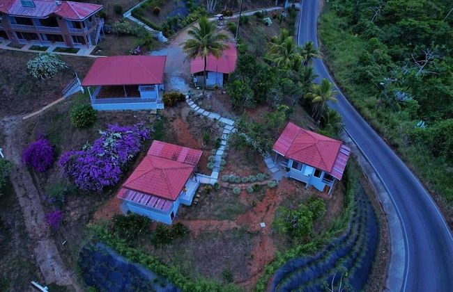 Colinas Tinamastes - Foto 64