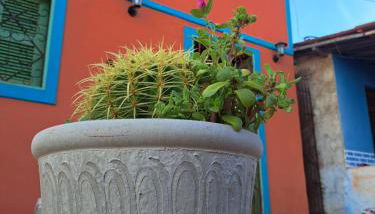 Casa Cores da Redonda! - Foto 2