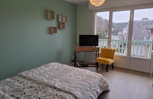 FABULEUX STUDIO à coté du CHATEAU - Foto 7