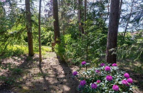 Ferienhaus Krohse - Foto 14