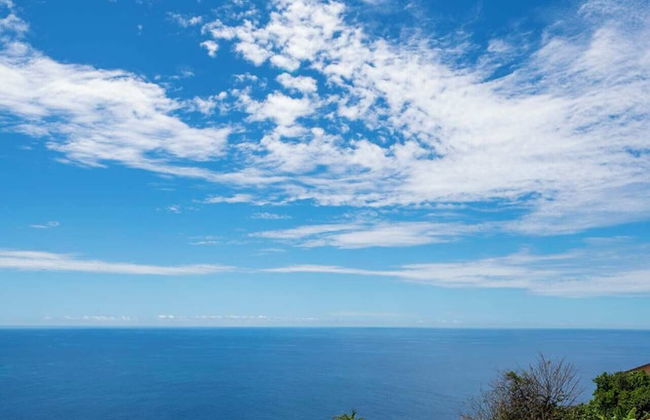 Pool and sea View - Calheta Victory View - Foto 30