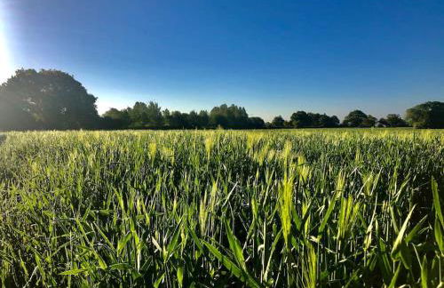 The BeeKeepers - Homely Luxurious Self Catering - Foto 67