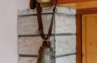 Archontiko Rapti Stone Traditional House - Foto 62