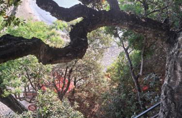 Villa de prestige en bord de mer dans la baie de Cannes - Foto 46