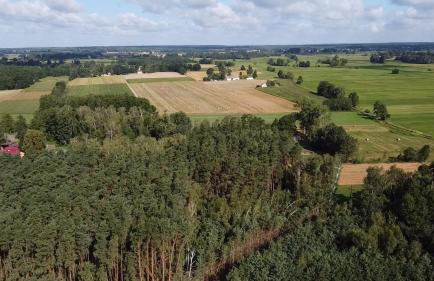 Maciejówka Gospodarstwo Agroturystyczne - Foto 32