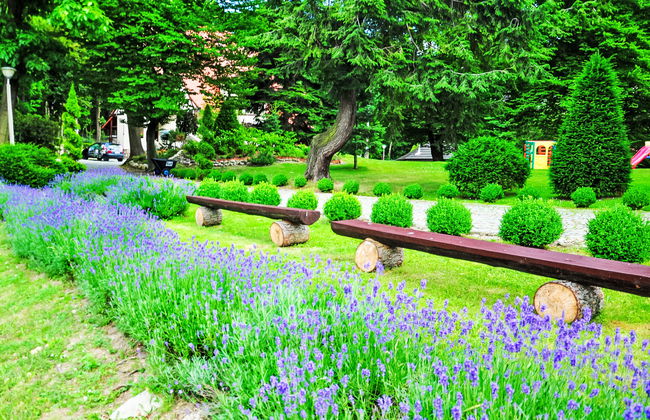 Lawendowe Wzgórze - Foto 31