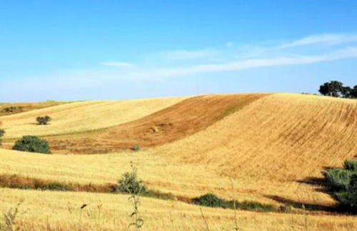 La Casetta - Foto 28