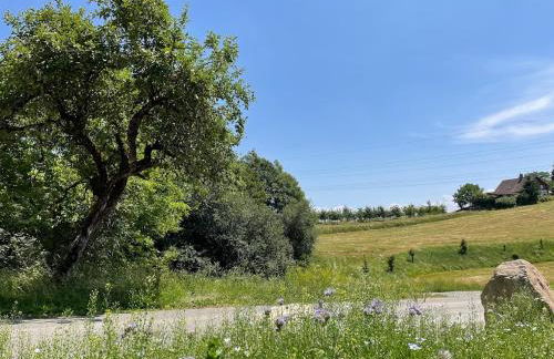 BodenSEE Apartment Neukirch Goppertsweiler HASE - Foto 37