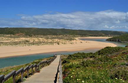 Surfer’s Pitstop - Foto 29