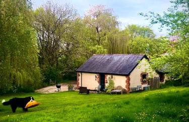 Orient House - Foto 6