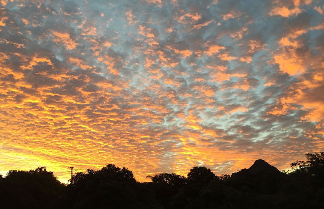 Glass On Glasshouse - Foto 45