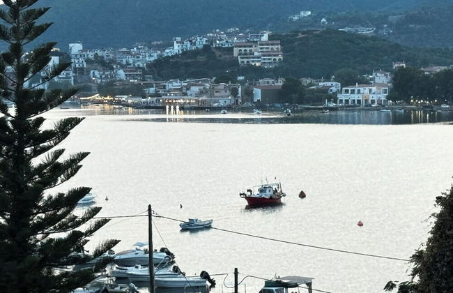 Georgias House Project South - Foto 15