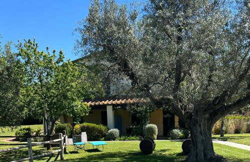 Villa Borgeri - Foto 7