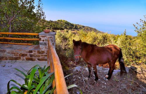 Endless green 1 Arethousa Ikaria - Photo 18