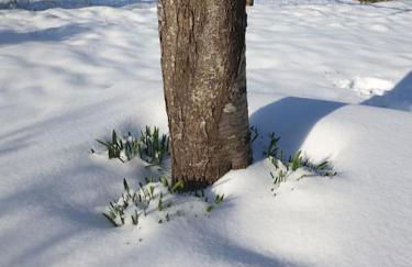 La Dragonne, centre de Bellême, maison entièrement équipée, jardin, vue forêt - Foto 35