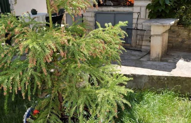 Sea View Apartment on Walking Distance to sea - Foto 44