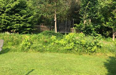 Wilaneska Prośno - Foto 47