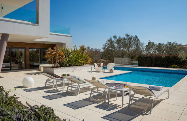 Old Olive I - Foto 46