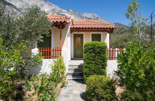 Pleiades Samos - Foto 28