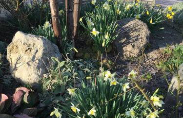 Super maison 5 pièces avec jardin - Foto 41