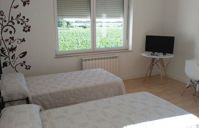 Casa Miguel y Sally - Photo 12