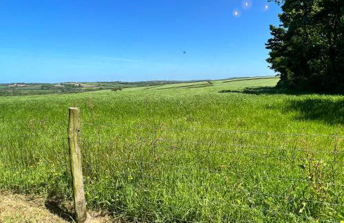 Moorhead Country Holidays - Foto 33