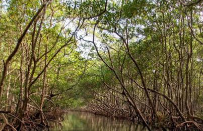 Recanto da barra - Foto 19