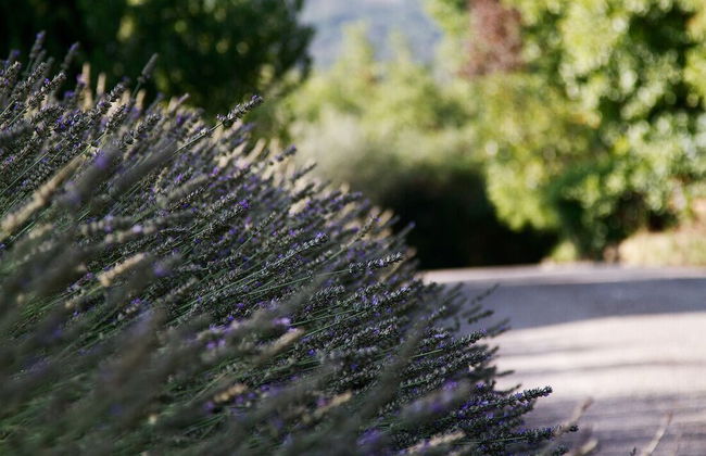 Agriturismo Casagrande - Photo 111