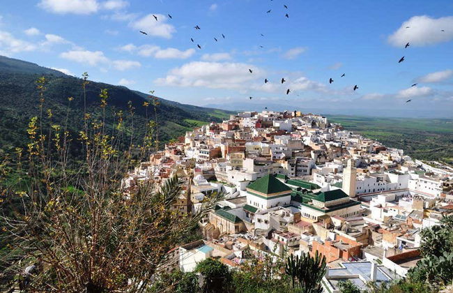 Excursion privée à Volubilis, Moulay Idriss et Meknès - Photo 2