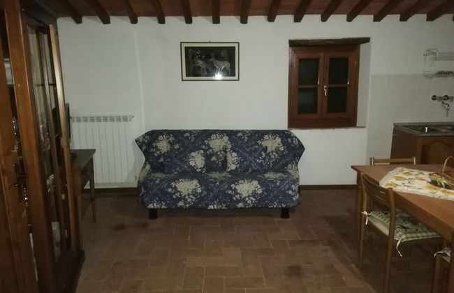 Agriturismo Sinciano - Foto 6