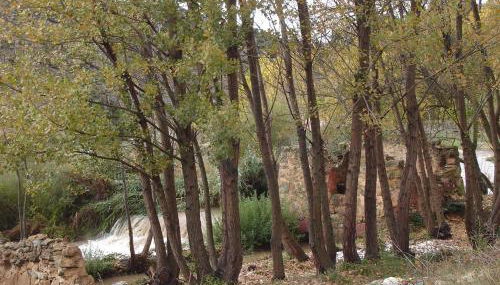 CASA EL AZUD - Foto 2