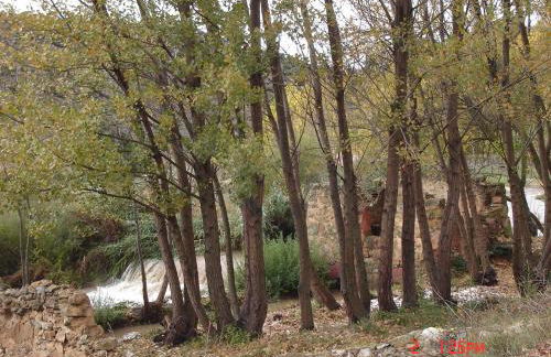 CASA EL AZUD - Foto 2