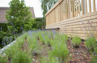 Familienhotel Weimar mit Ferienwohnungen - Foto 10