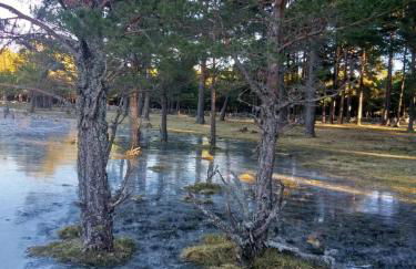 Casa Luenga - Foto 27